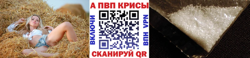 APVP СК КРИС Павловская